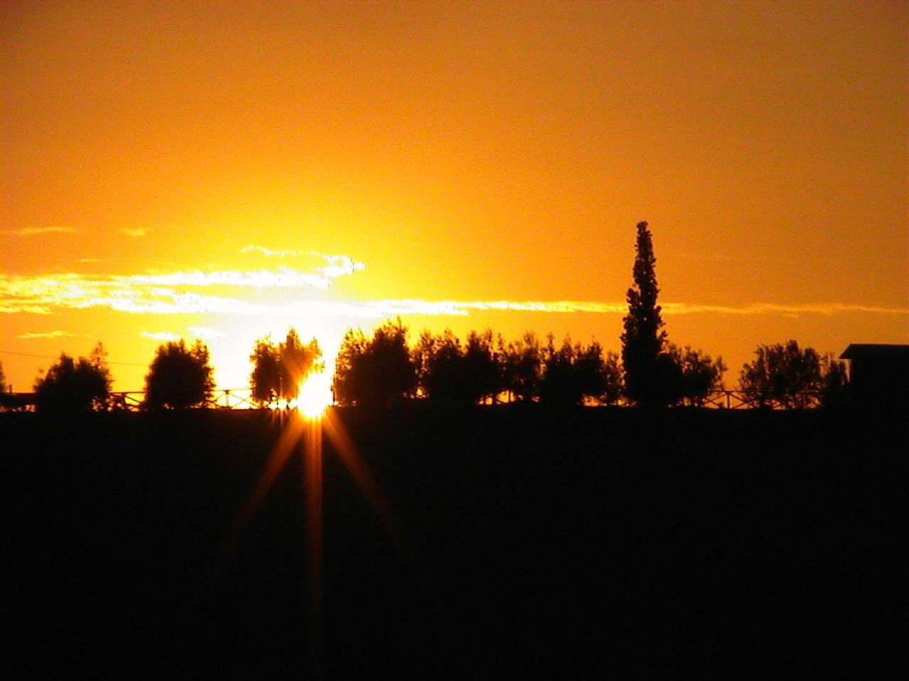 Agriturismo Le Docce Castelfiorentino Exterior foto
